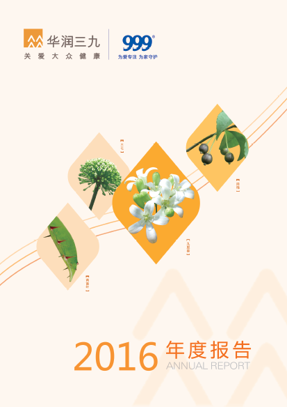 bevictor伟德：2016年年度报告