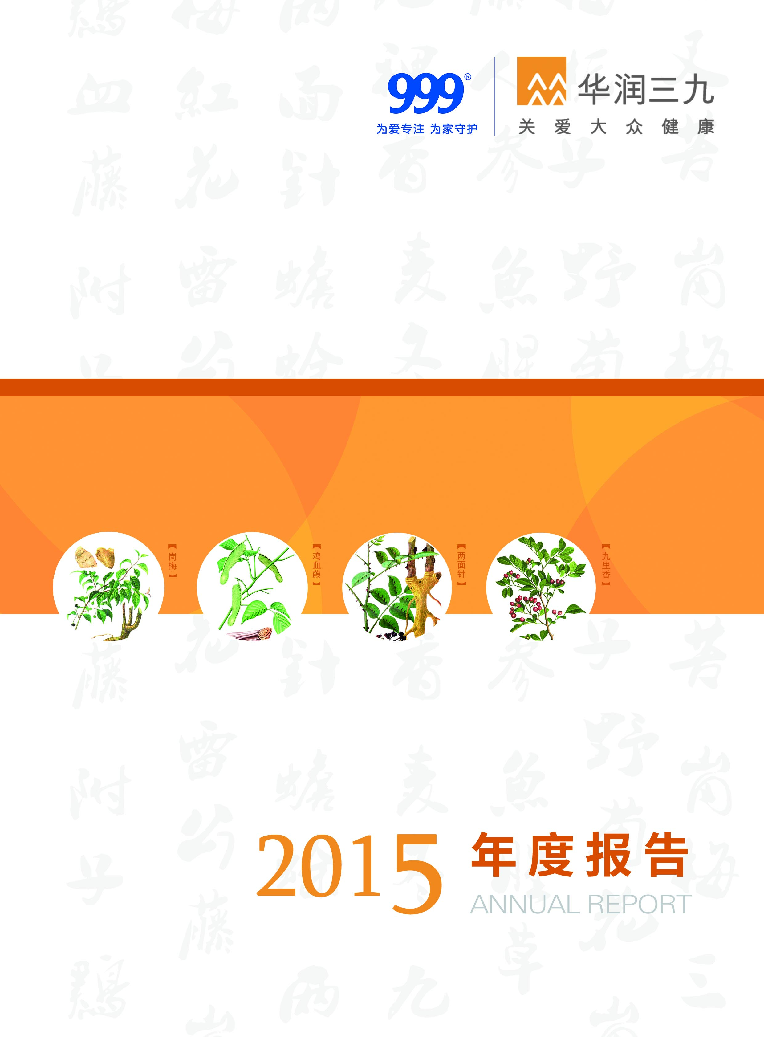 bevictor伟德：2015年年度报告